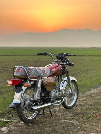 unique 70 golden addition