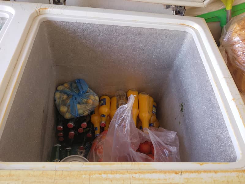 waves deep freezer 2