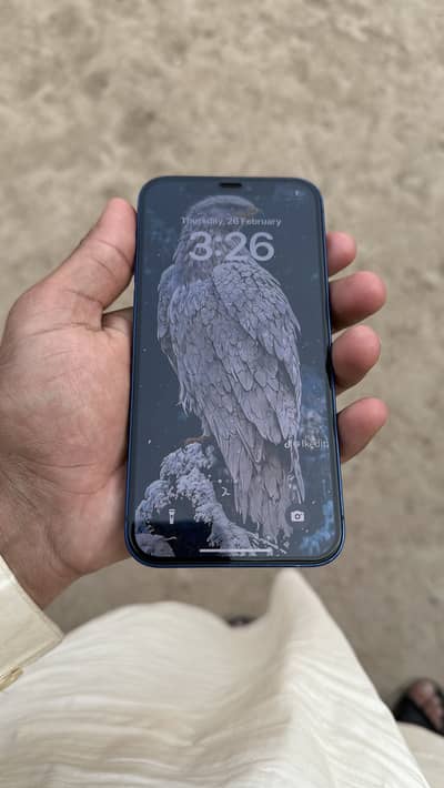 Serious customers contact me