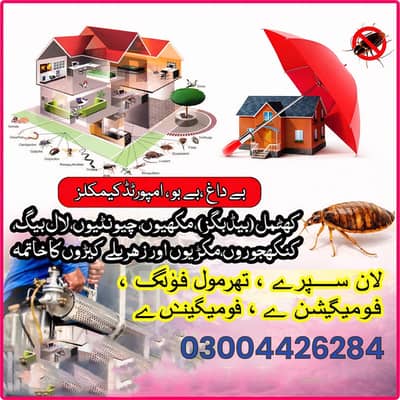 termite control /pest control/Deemak control /Fumigation/ Cockroach