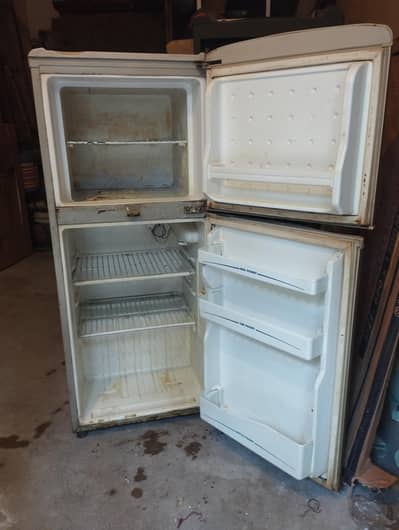 Haier Fridge + Freezer