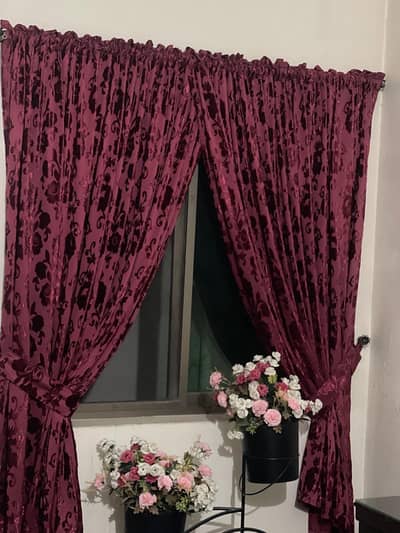 Mehroon plachi curtains