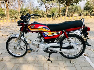 Lush Condistion CD 70  2025 Modal