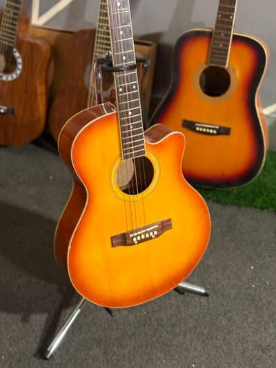 proffesional accoustic guitar with truss rode