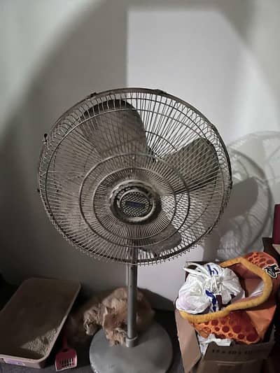 Used Pak Fan Pedestal