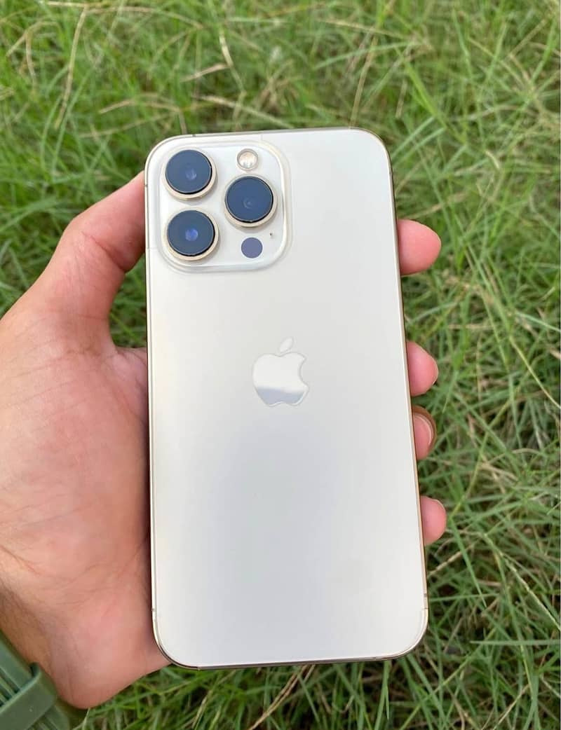 Iphone 13 pro 0