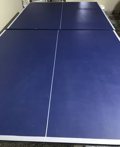 Table tennis 1 month used