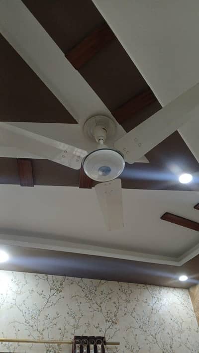 Royal ceiling fan / original