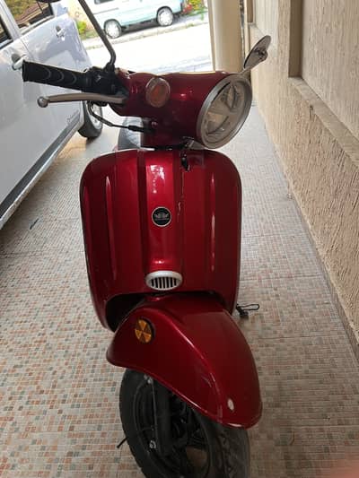 Road prince Bella scotty