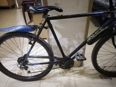 phoenix full size cycle