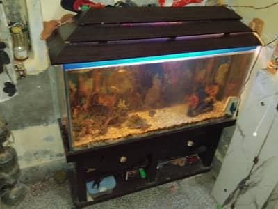 Fish Aquarium 3.5feet
