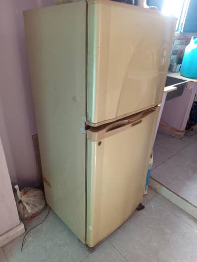 medium fridge dowlance