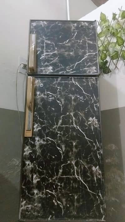 medium size hai dowlance