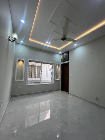 Luxury House For Rent