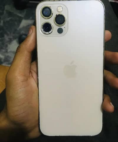 iphone 12 pro official pta approved