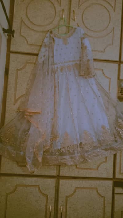 Ladies Formal Dresses Collection – Embroidered & Stylish Designs