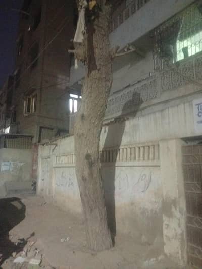 Heavy Solid Neem Log – 14 ft, 46 inch Diameter, 160 CFT