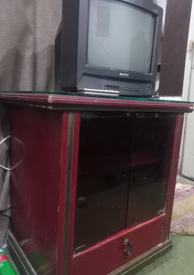 Sony T. V