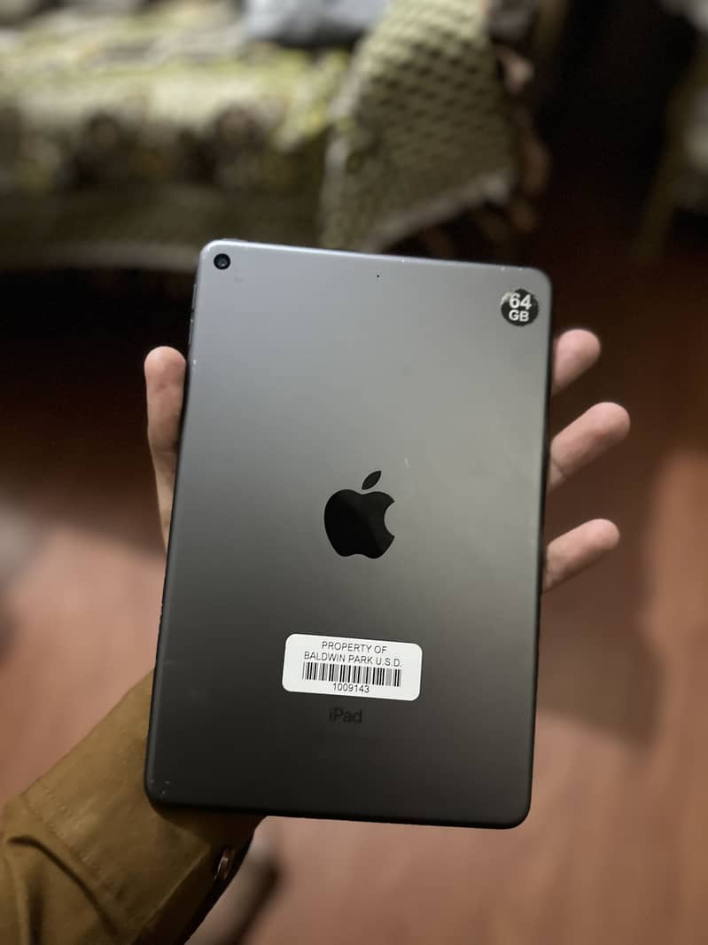 Ipad mini 5 0