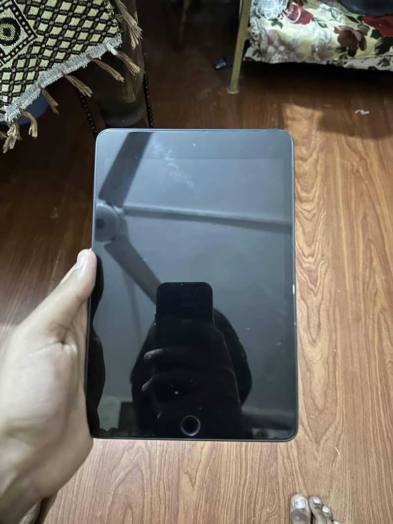 Ipad mini 5 3
