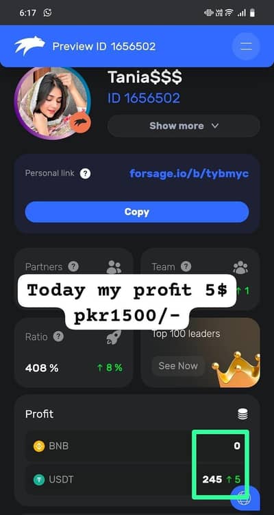 online business  Daily profit Daily withdrawal