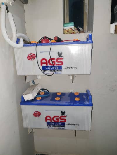AGS  batteries 6 month old