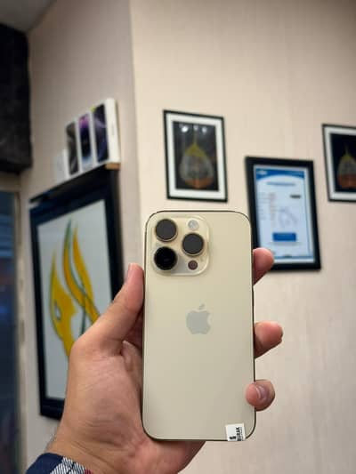 iphone 14 pro max golden colour