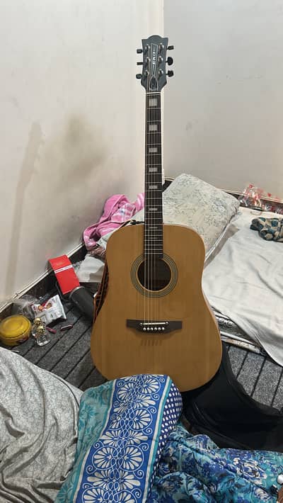 Eko guitar