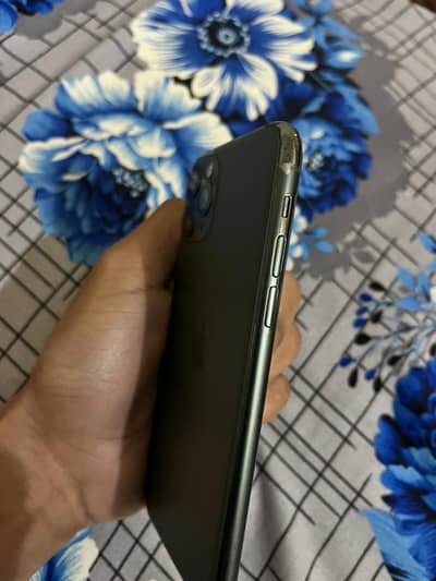 iPhone 11 Pro pta