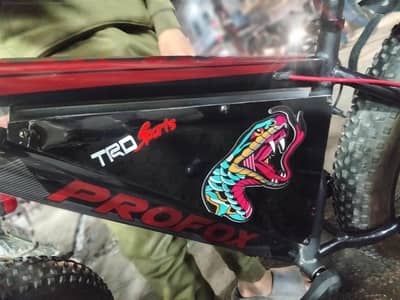 Electric bike brand new