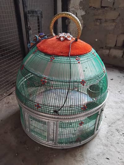 Birds cage