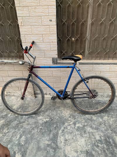 Phoenix 10/10condition cycle