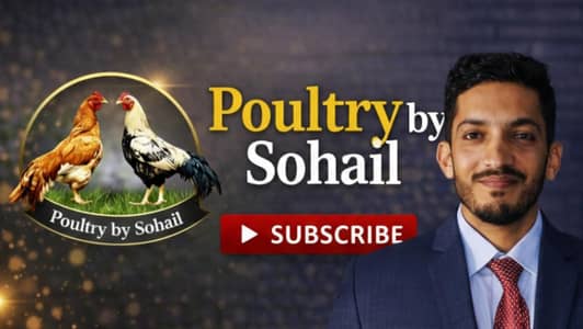 Social media Marketing banners, Thumbnail