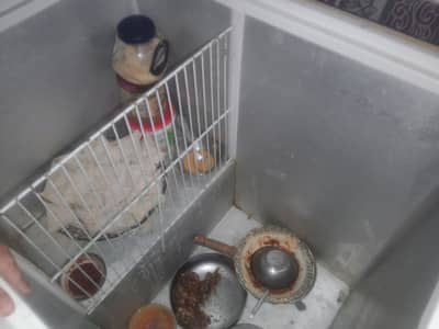 farezar bare farohkt and good candisan