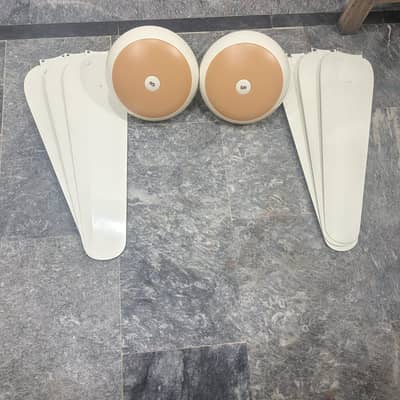 SK Fan 4 piece for sale