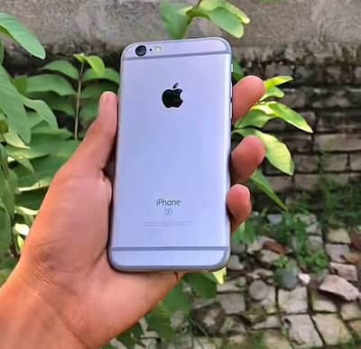 iPhone 6s PTA Approved 64GB Jo Colour Chahye Mill Jaega ‎ ‎