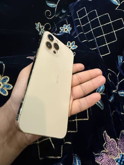 Iphone 12 pro max pta approved