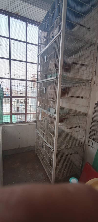 5 portion Cage Inside box opinion