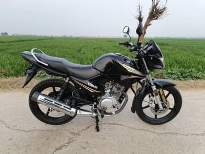 lush condition all punjab number