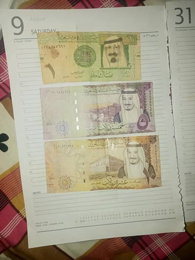 Rare Saudi Arabian Riyal Collection