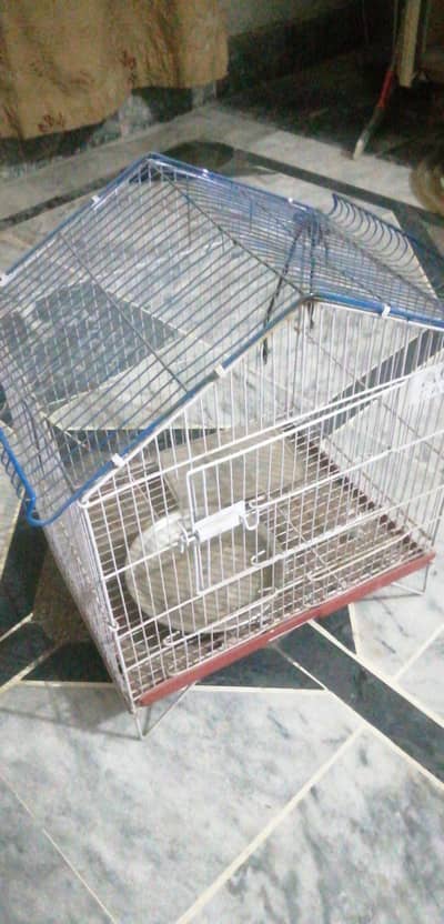 parrot cage 1x1.5