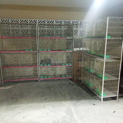 birds cage's for sale