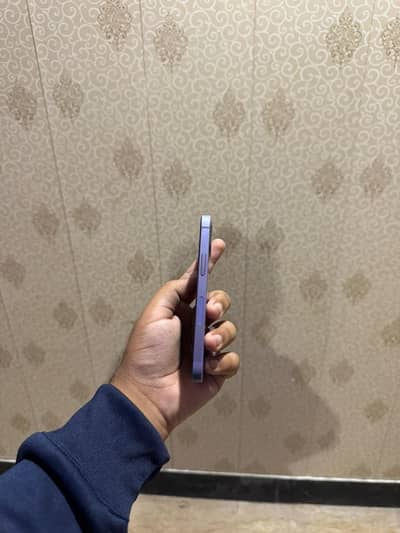 12 mini factory unlock