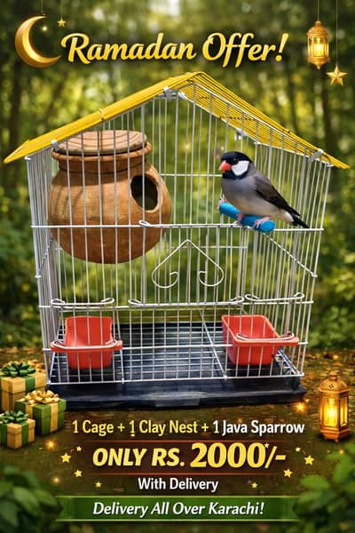 Bird with cage and breeding box