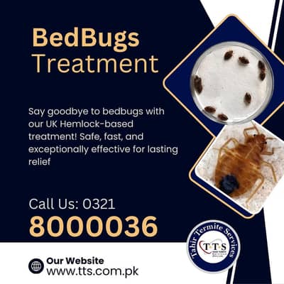 Bed bug Treatment Services in Lahore
