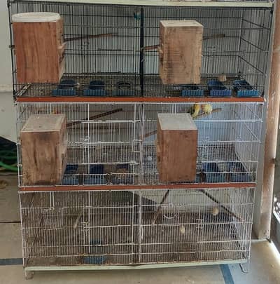 cage for sale folding wala 6 portion 03347956581