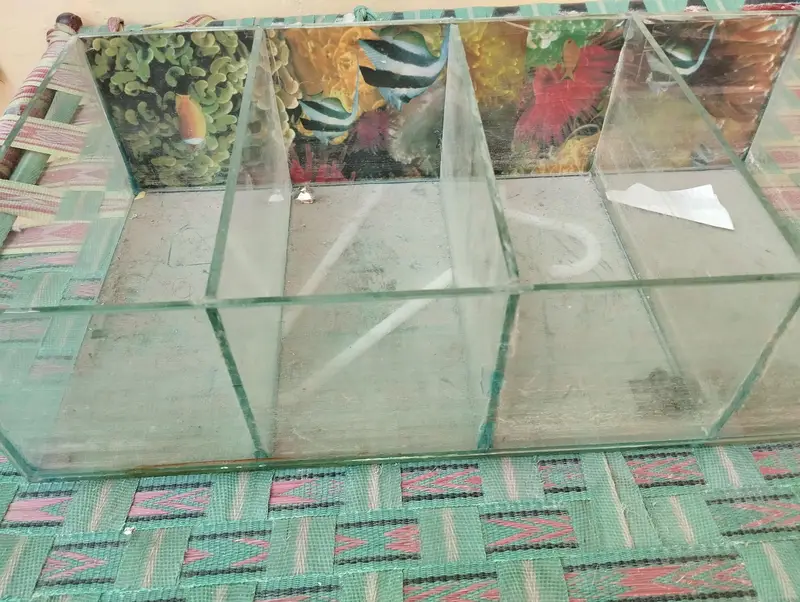 1X Fish Partition Aquarium With Metal stand — photo 2