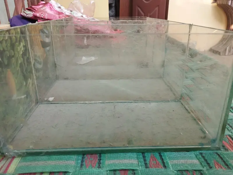1X Fish Partition Aquarium With Metal stand — photo 5