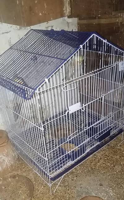 Birds Cage in Reasonable price available