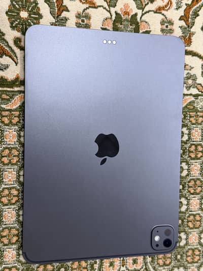 I pad M5 10/10  30 cycle count only